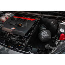 pipercrossansaugunggryaris1